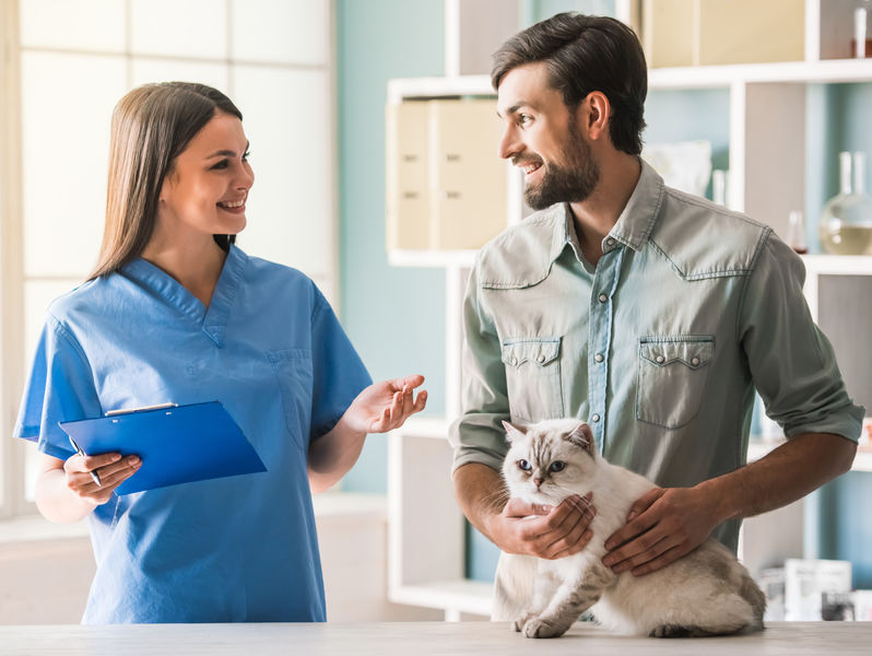 How to Increase Feline Visits to Your Veterinary Clinic - The Cats Inn