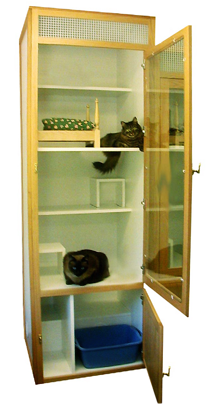 Cats sitting on shelves in an open wooden cabinet, with a blue litter box at the bottom.