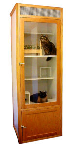 Tall wooden cabinet with glass door, housing two cats on separate shelves, one sitting on top and the other below.